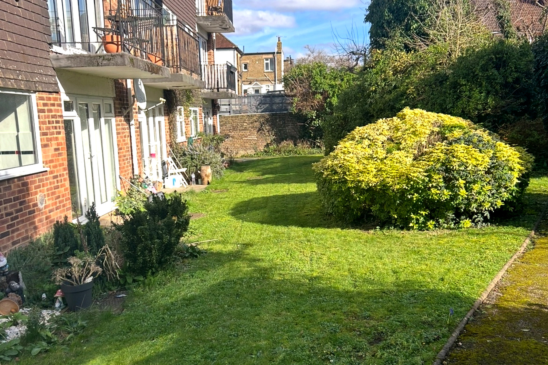 Bright, freshly mown communal garden lawn with a neatly trimmed rounded hedge in Hackney