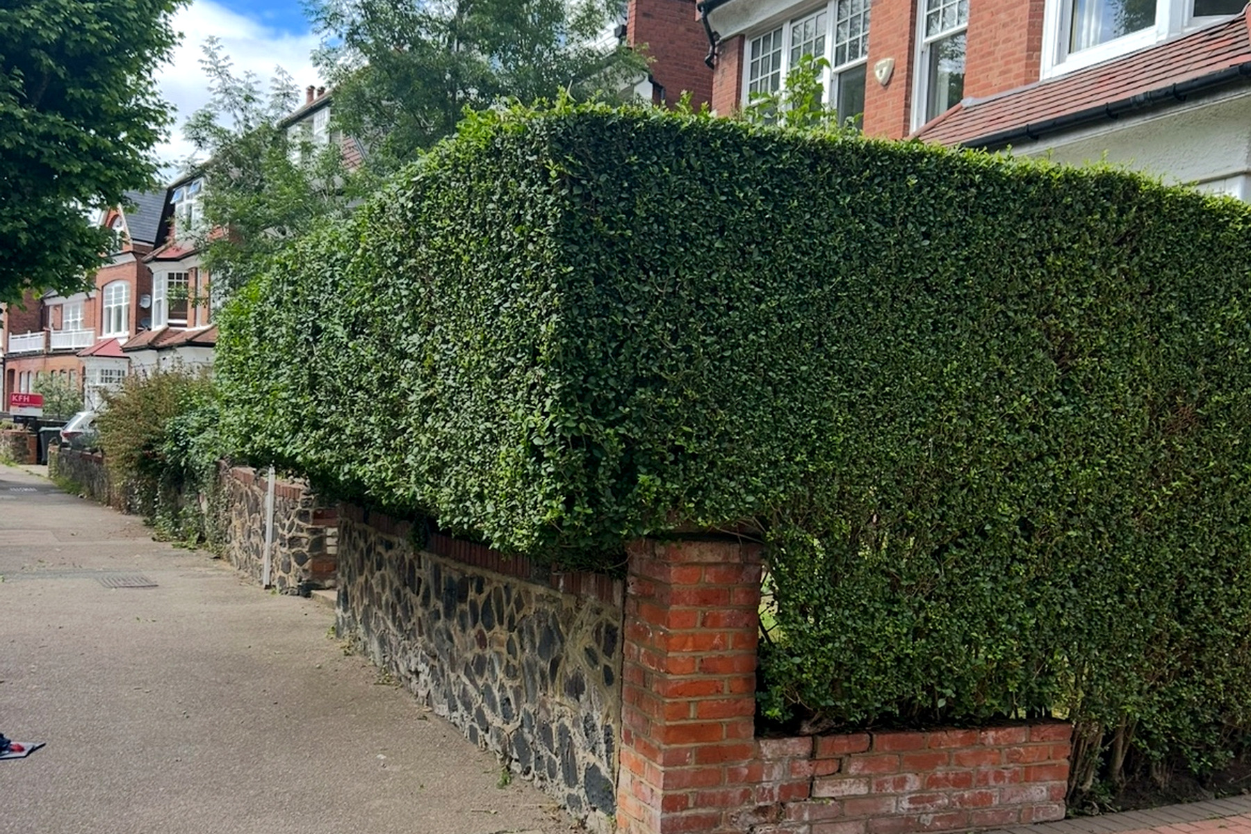 A long, crisply trimmed rectangular hedge along a Hackney street