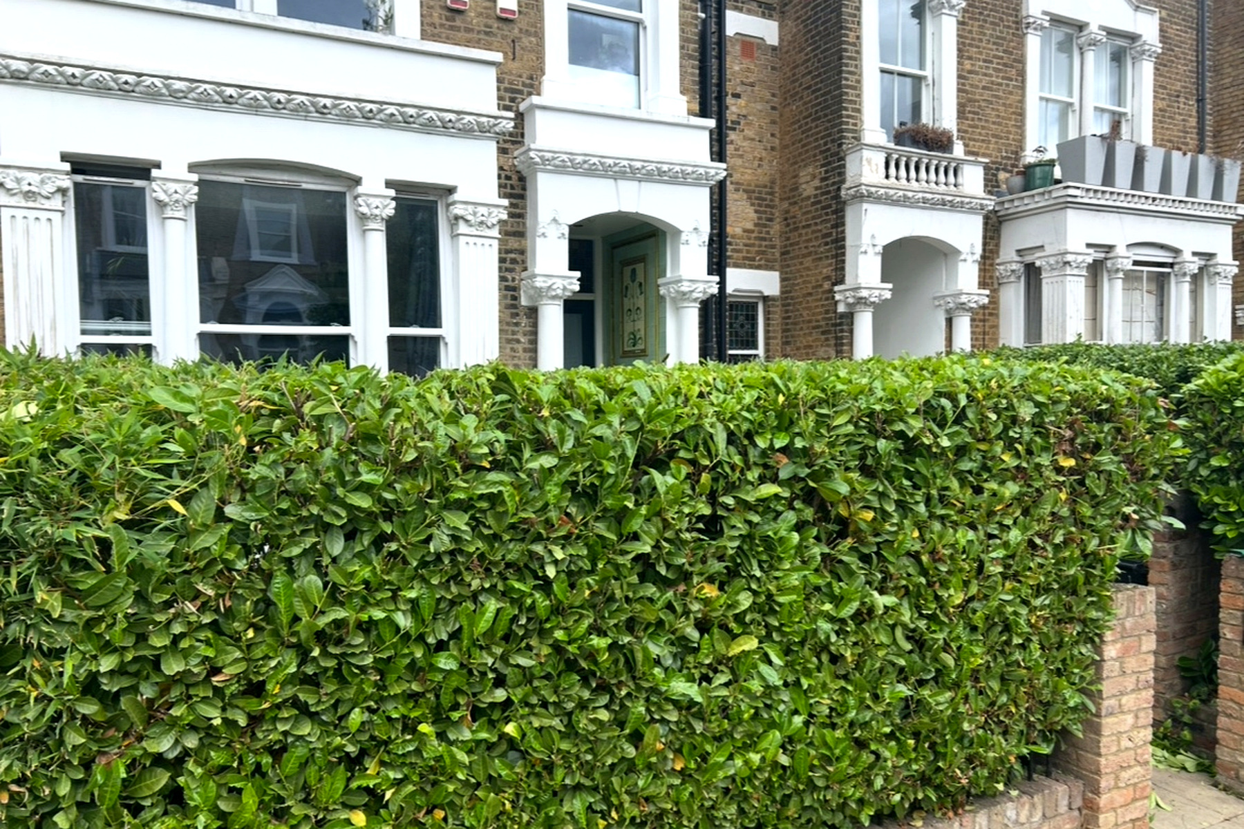 A neatly trimmed front garden hedge outside a period house in Hackney